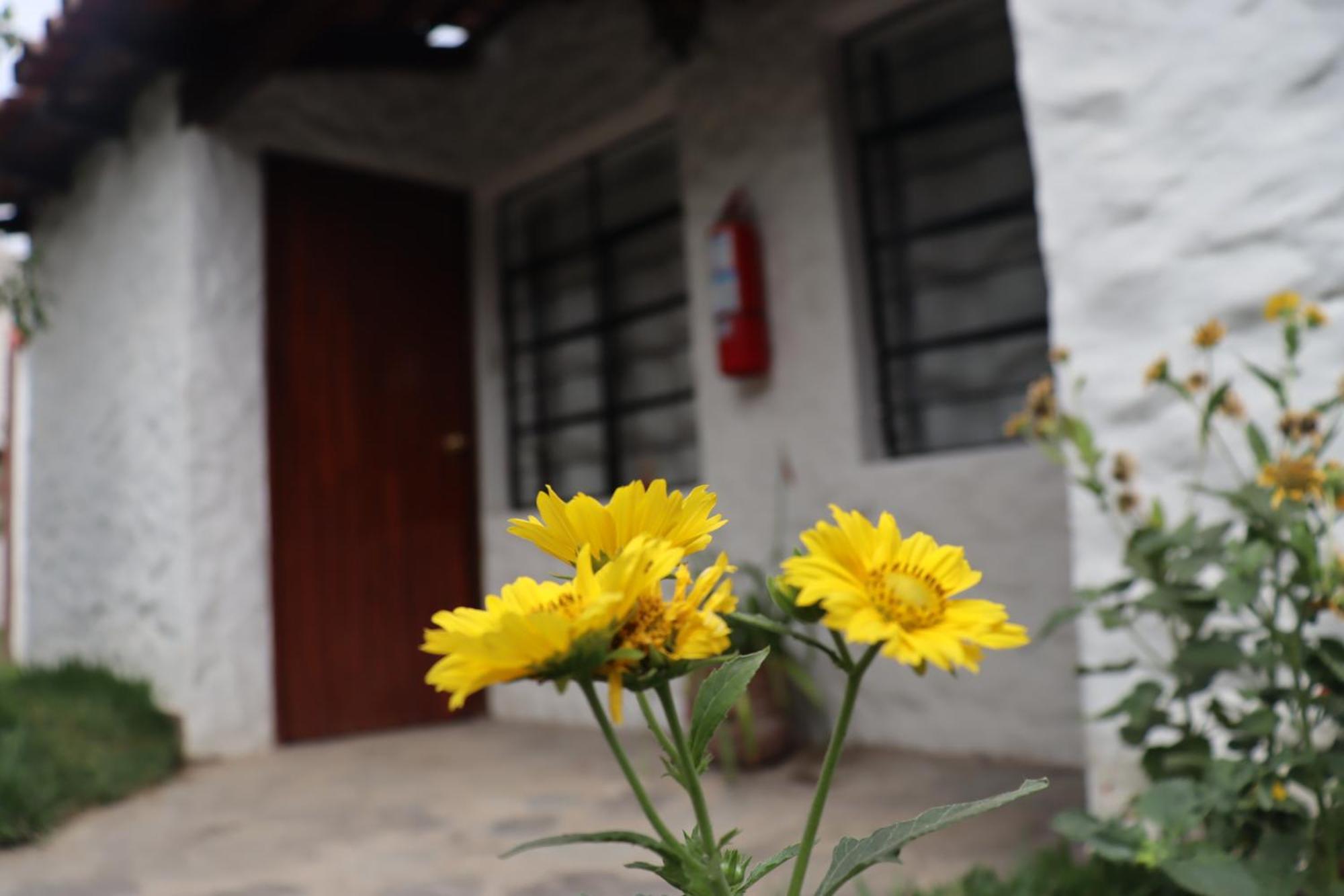 Los Andes - Restaurant & Bungalows シエネギージャ エクステリア 写真