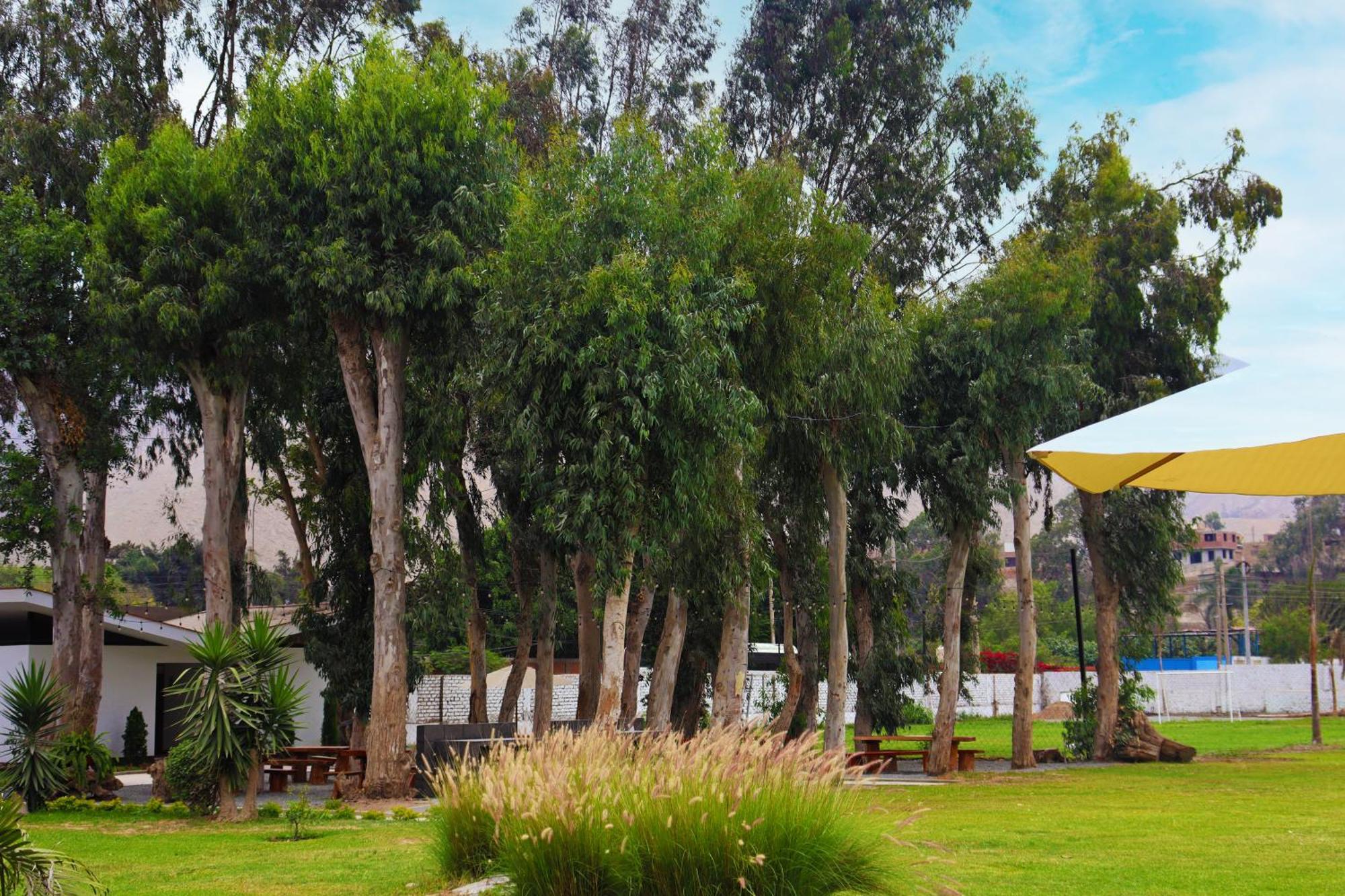Los Andes - Restaurant & Bungalows シエネギージャ エクステリア 写真